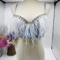 Fashion Clothes For Women Latest Design Bra Feather Bra